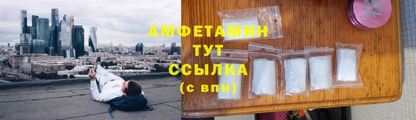 ПСИЛОЦИБИНОВЫЕ ГРИБЫ Алзамай