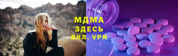 стаф Алексин