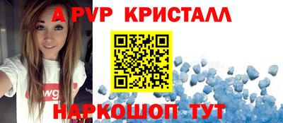 крисы Кингисепп
