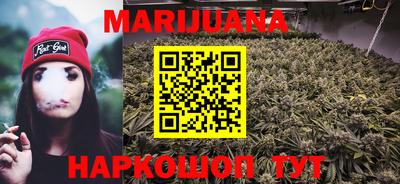 крисы Кингисепп