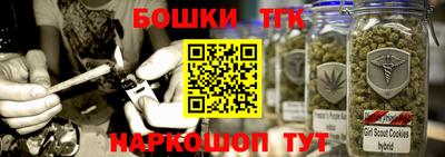 крисы Кингисепп