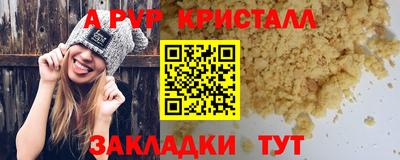 крисы Кингисепп