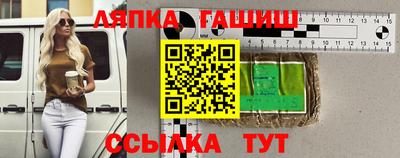 крисы Кингисепп