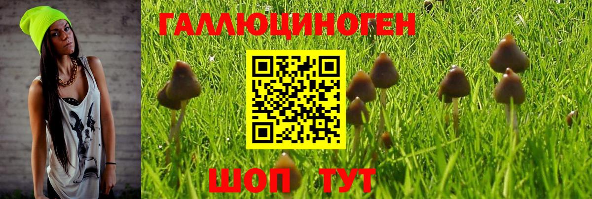 Сатка  Галлюциногенные грибы Psilocybe  Вход с VPN  Галлюциногенные грибы мухоморы 