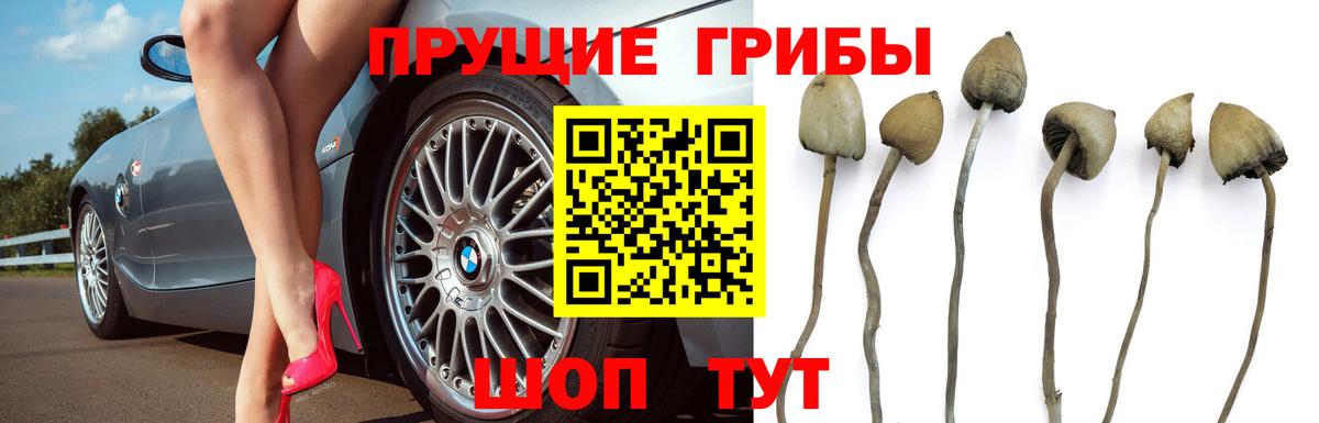Галлюциногенные грибы Magic Shrooms Сатка